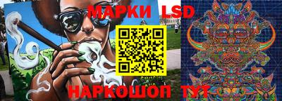 гашик Кандалакша