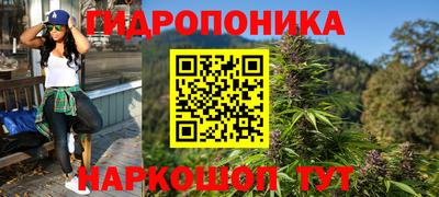 ECSTASY Камышлов