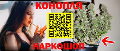гашик Кандалакша