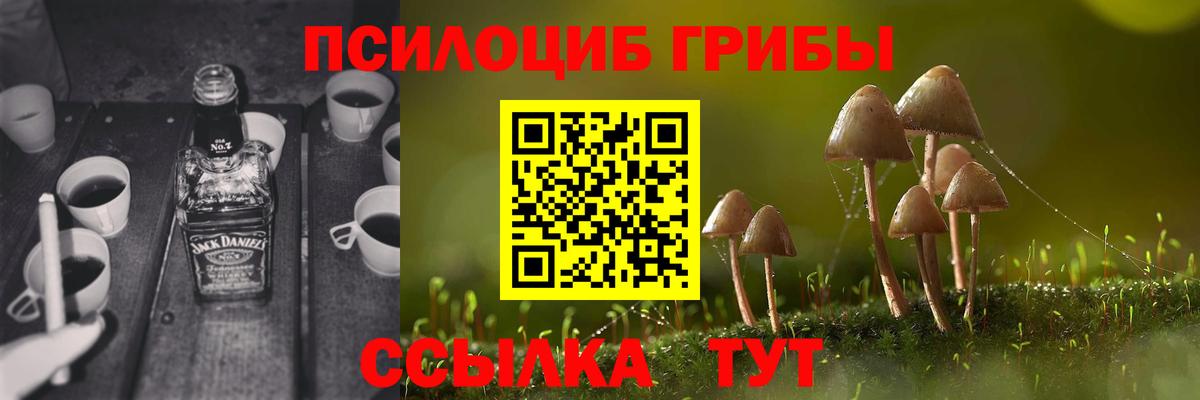 Луга  Галлюциногенные грибы Psilocybine cubensis  Псилоцибиновые грибы ЛСД  Вход с VPN 