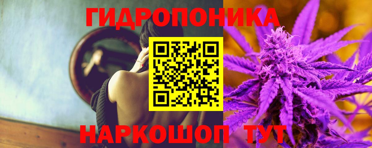 ГАШ Луга
